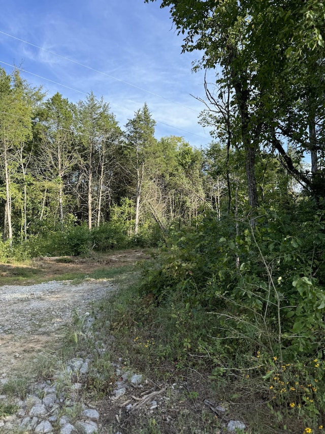 11911 Franklin Rd, College Grove, TN 37046 - photo 26
