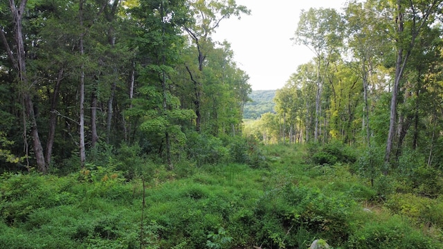11911 Franklin Rd, College Grove, TN 37046 - photo 3