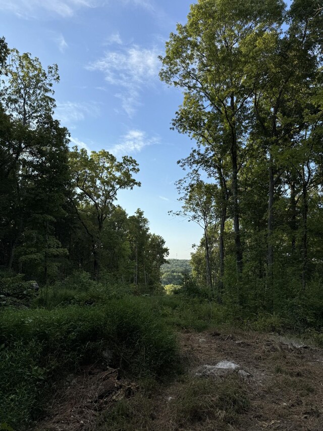 11911 Franklin Rd, College Grove, TN 37046 - photo 15