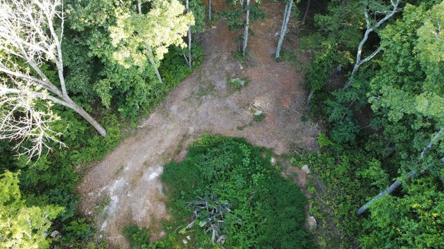 11911 Franklin Rd, College Grove, TN 37046 - photo 10