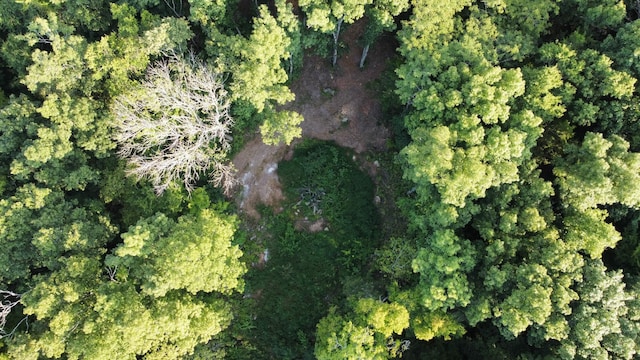 11911 Franklin Rd, College Grove, TN 37046 - photo 9