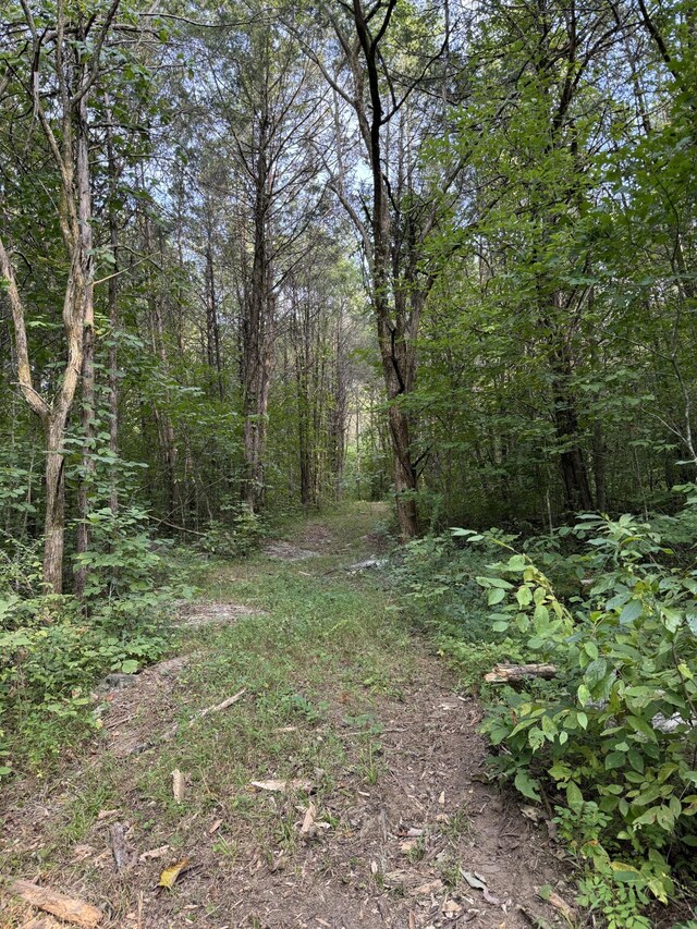 11911 Franklin Rd, College Grove, TN 37046 - photo 24