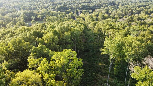 11911 Franklin Rd, College Grove, TN 37046 - photo 8
