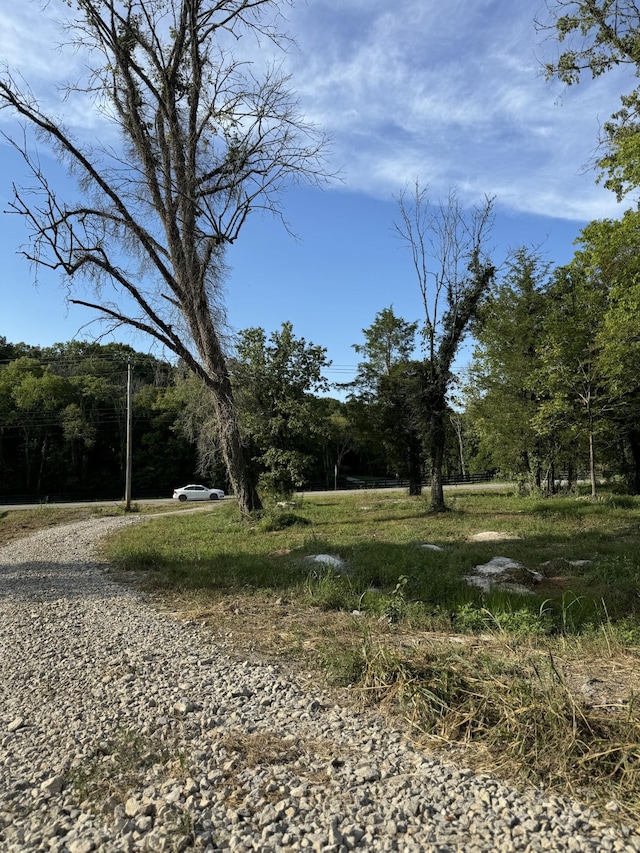 11911 Franklin Rd, College Grove, TN 37046 - photo 28