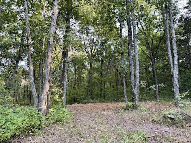 11911 Franklin Rd, College Grove, TN 37046 - photo 5