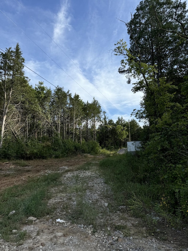 11911 Franklin Rd, College Grove, TN 37046 - photo 27