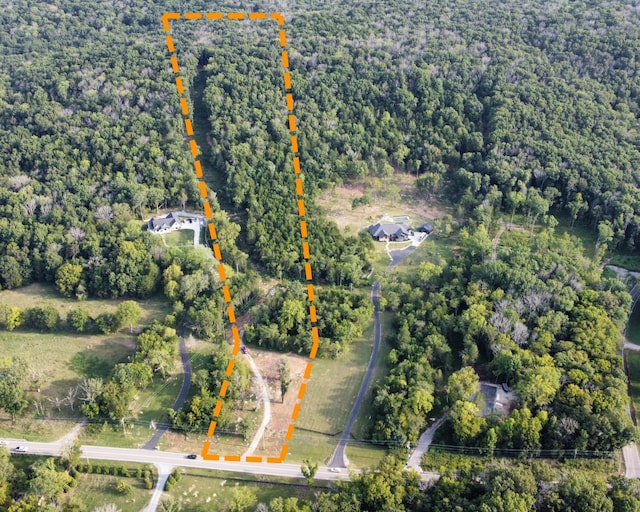 11911 Franklin Rd, College Grove, TN 37046 - photo 1