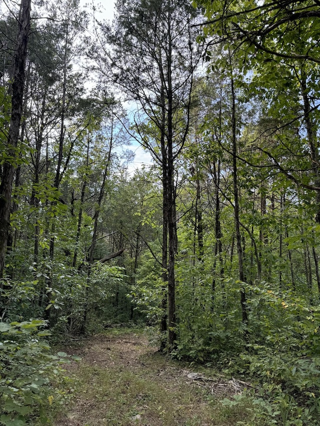 11911 Franklin Rd, College Grove, TN 37046 - photo 22