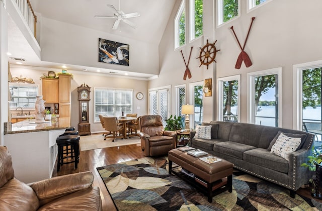 living room with plenty of natural light and a high ceiling