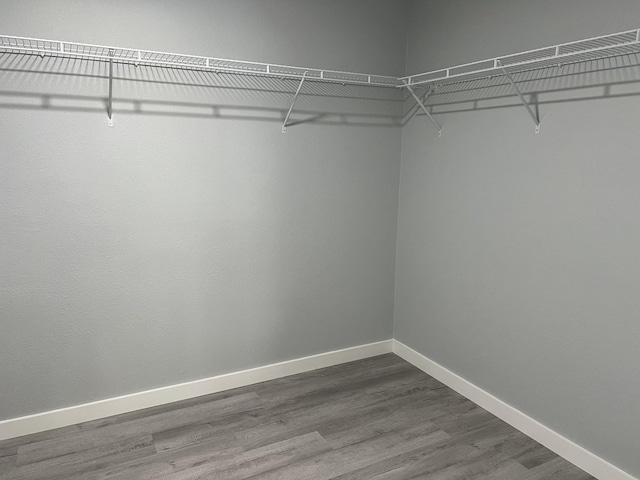 spacious closet featuring hardwood / wood-style floors