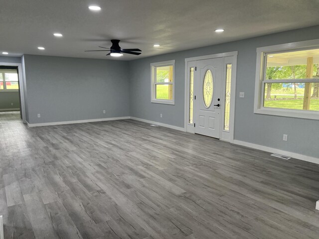 entrance foyer with hardwood / wood-style floors, a healthy amount of sunlight, and ceiling fan