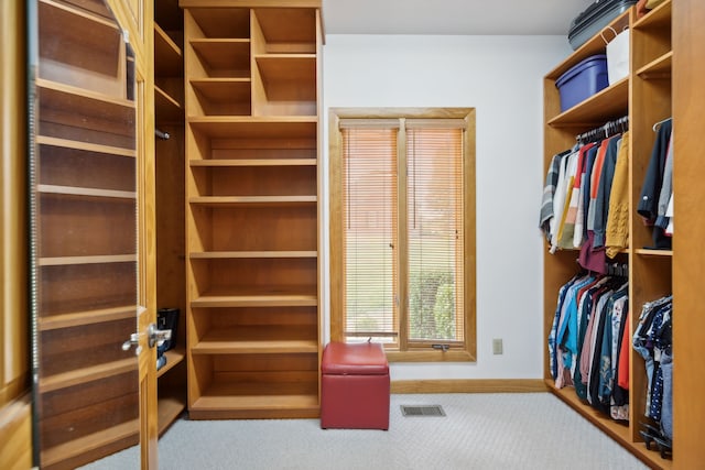 spacious closet with carpet flooring