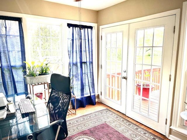 interior space featuring a wealth of natural light and french doors