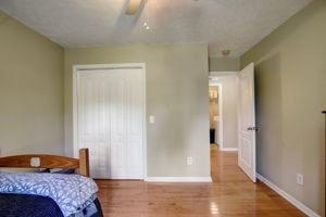 bedroom featuring ceiling fan, hardwood / wood-style flooring, and a closet