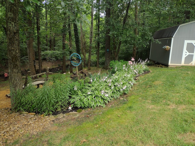 view of yard featuring a storage unit