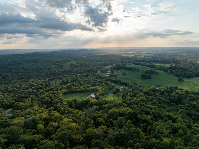 drone / aerial view