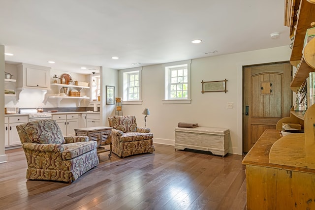 living area featuring wood-type flooring