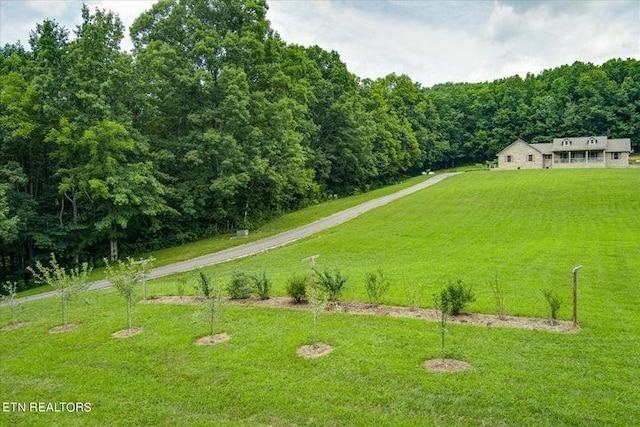 view of yard featuring a forest view