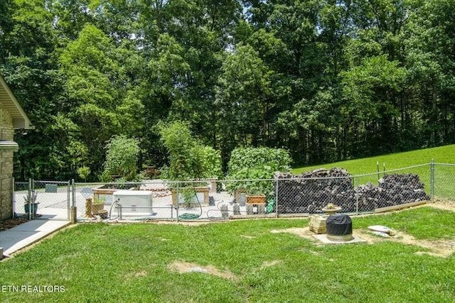 view of yard featuring fence and a gate