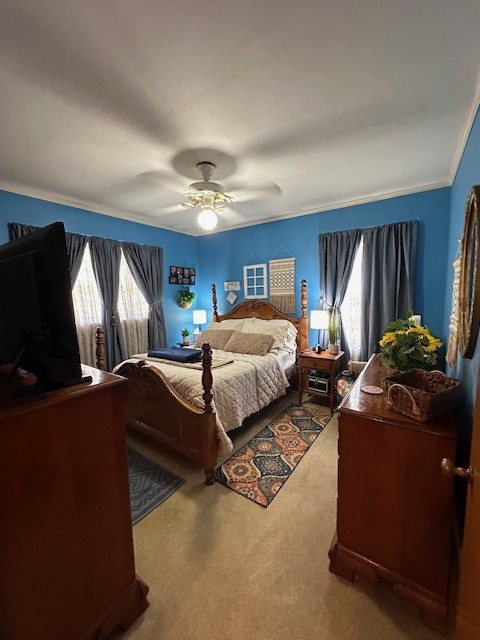 carpeted bedroom featuring ceiling fan and crown molding