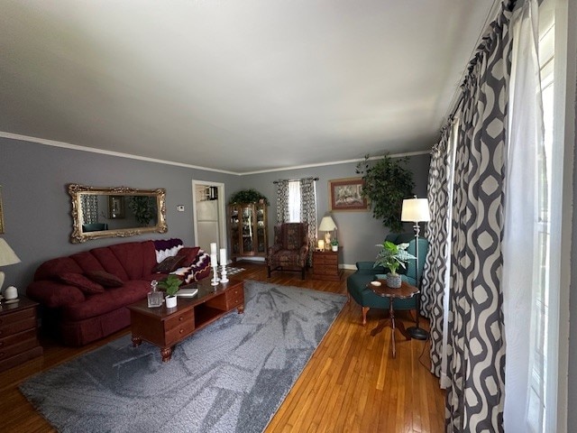 living room with ornamental molding and wood-type flooring