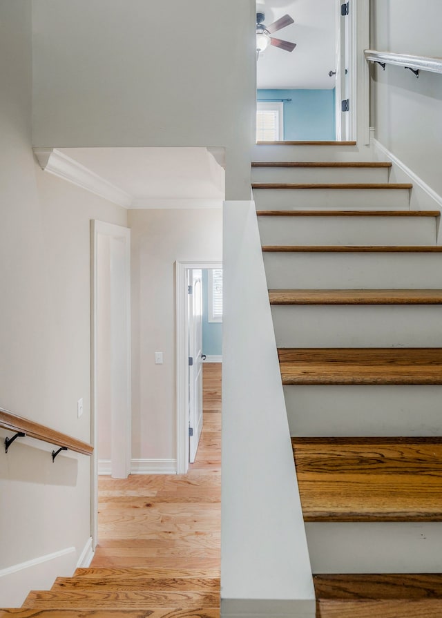 staircase with ceiling fan, ornamental molding, and wood-type flooring