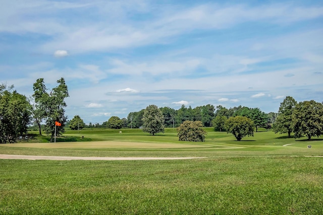 view of community with a yard