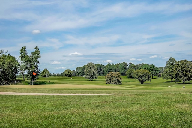 view of home's community with a yard