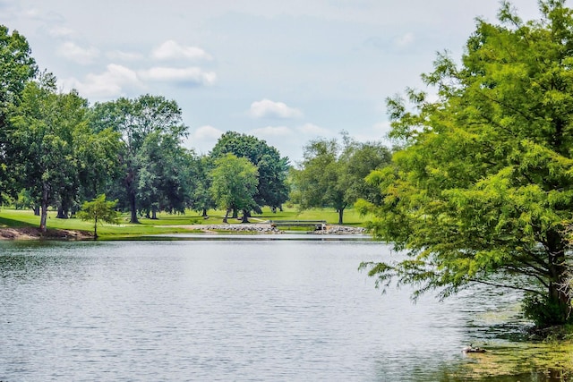 property view of water