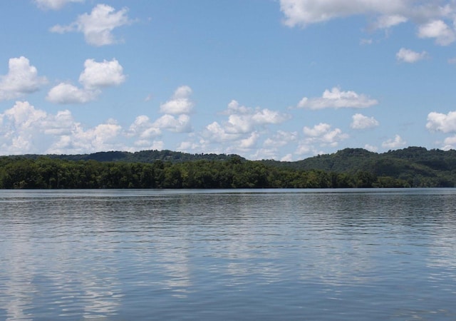 property view of water with a view of trees