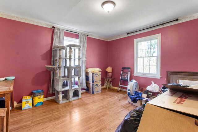 interior space featuring light hardwood / wood-style floors