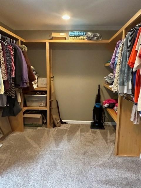 walk in closet featuring carpet flooring