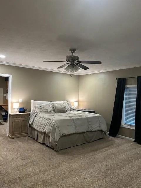 carpeted bedroom featuring crown molding and ceiling fan