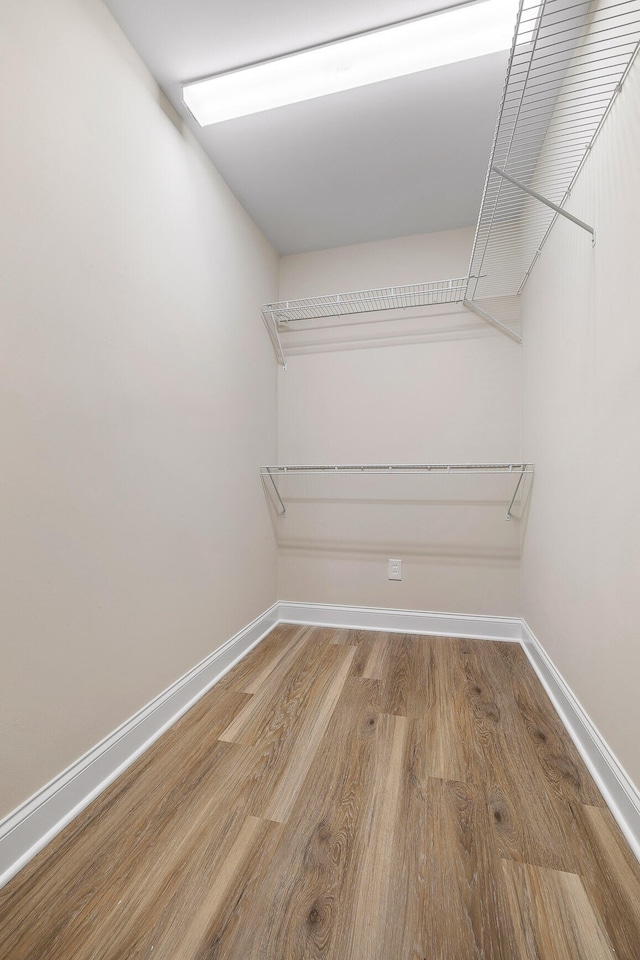 spacious closet with wood-type flooring