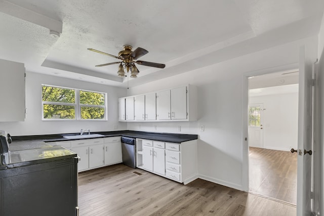 kitchen featuring ceiling fan, a tray ceiling, plenty of natural light, and light hardwood / wood-style floors