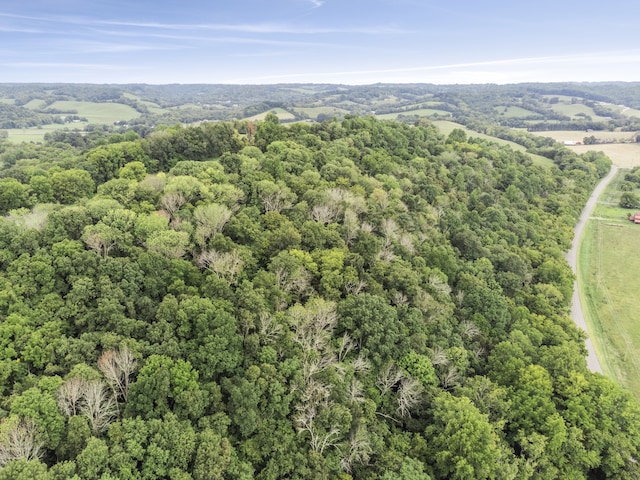 0 Cobb Hollow Rd, Lynchburg TN, 37352 land for sale