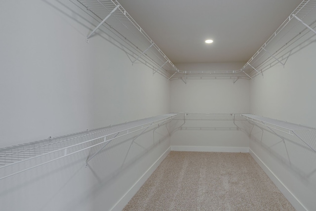 walk in closet with carpet flooring