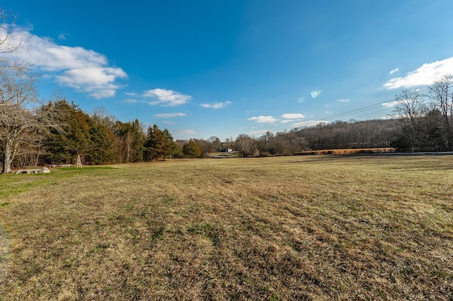 Listing photo 2 for 8948 Rocky Fork Rd, Smyrna TN 37167