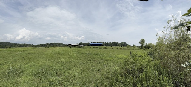 1322 Hershal Lyles Rd, Westmoreland, TN 37186 - photo 1