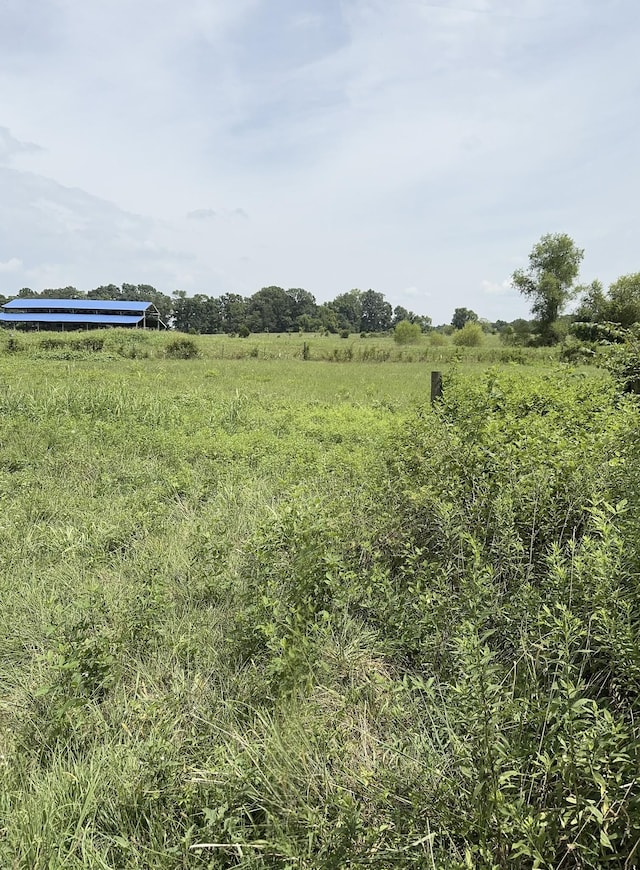 1322 Hershal Lyles Rd, Westmoreland, TN 37186 - photo 2