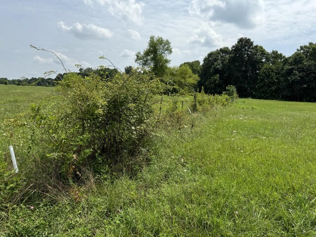 1322 Hershal Lyles Rd, Westmoreland, TN 37186 - photo 9