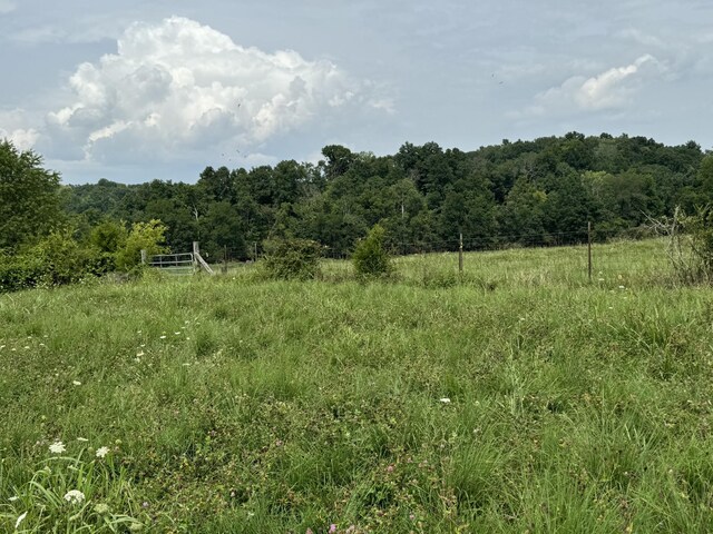 1322 Hershal Lyles Rd, Westmoreland, TN 37186 - photo 14