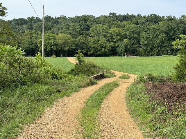 1322 Hershal Lyles Rd, Westmoreland, TN 37186 - photo 15