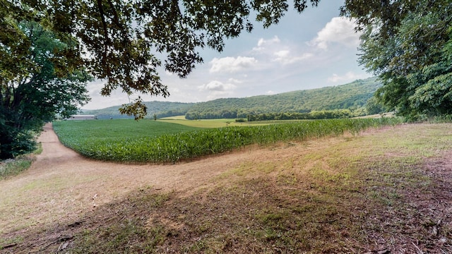 0 Oris Sain Rd, Morrison, TN 37357