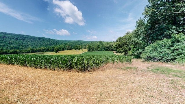 0 Oris Sain Rd, Morrison, TN 37357