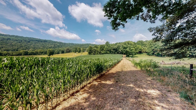 0 Oris Sain Rd, Morrison, TN 37357