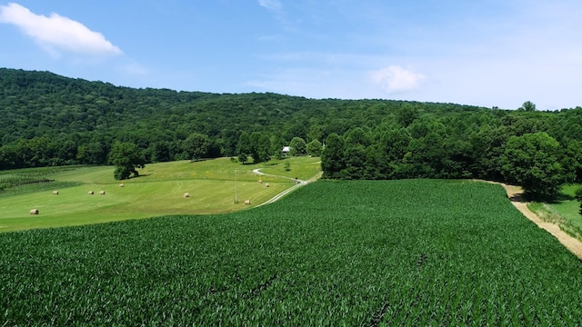 0 Oris Sain Rd, Morrison, TN 37357