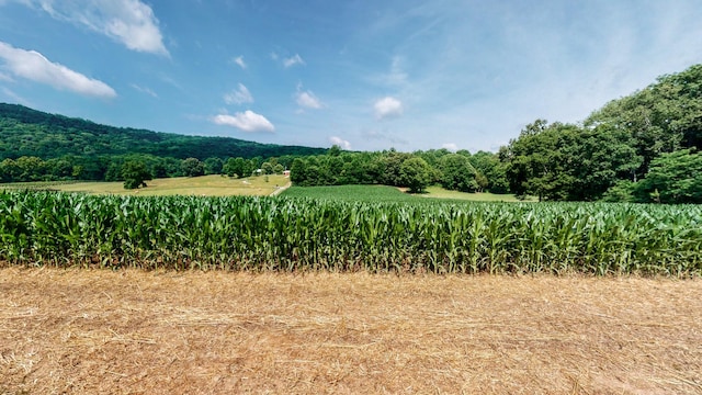 0 Oris Sain Rd, Morrison, TN 37357