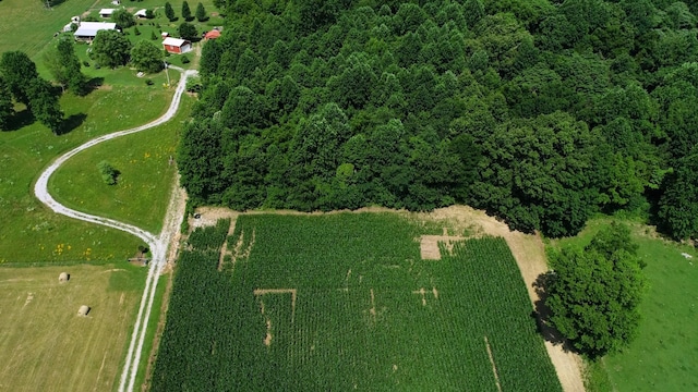 0 Oris Sain Rd, Morrison, TN 37357