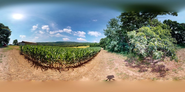 0 Oris Sain Rd, Morrison, TN 37357
